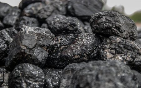 coal-briquette-black-46801-1024x685-2